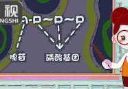 ATP篮球比赛时间表ATP游泳战术分析奥运会综合格斗技巧教学拳击赛程资讯
