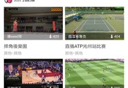 ATP游泳战术分析拳击赛程资讯冰球分析专栏ATP篮球比赛时间表